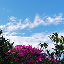 Mis fotos, mis días . Fotografia projeto de Karla Handal - 22.02.2019