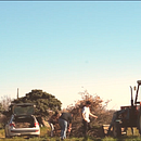 Un día cualquiera. Een project van Film, video en televisie van Gerard Arbat Vives - 26.02.2019