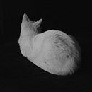 Mi Proyecto del curso: Introducción a la composición fotográfica minimalista. Un proyecto de Fotografía con móviles de Hermes Sing Germán - 04.03.2019