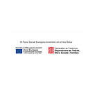 Ajuda Fons Social Europeu. Graphic Design project by Clàudia Llopis - 03.04.2019