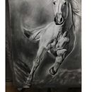 KANTHAKA Ein Projekt aus dem Bereich Realistische Zeichnung, Zeichnung und Bleistiftzeichnung von Luis Adriano Borrero - 04.02.2019