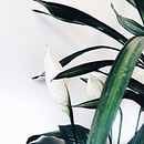 Mi Proyecto del curso: Fotografía profesional para Instagram Ein Projekt aus dem Bereich Artistische Fotografie, Smartphonefotografie und Digitalfotografie von HOLA CONSULTORES - 06.03.2019