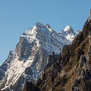 Salvaje Ein Projekt aus dem Bereich Digitalfotografie von Jonatan García García - 10.03.2019
