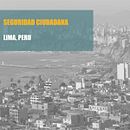 Lima Segura - Denuncia de robos al paso. UX / UI project by Ivonne Palomino Ruiz - 02.20.2019