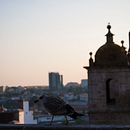 vistas. Un projet de Photographie , et Photographie numérique de Rocío Arranz López - 15.03.2019