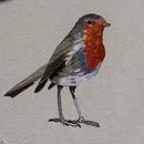 Pintar con hilo: técnicas de ilustración textil Petirrojo. Un proyecto de Bordado de Rocío - 25.03.2019