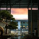 Mi Proyecto del curso: Secretos del fotomontaje y el retoque creativo. Digital Photograph, Photograph, Post-production, and Photo Retouching project by José Alejandro Rey Garcia - 03.23.2019