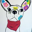 Mejorando al Chihuahua.. Un proyecto de Arte urbano de Ara - 25.03.2019