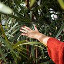 Aurora. Fotografia de retrato projeto de Belén Montilla - 25.03.2019