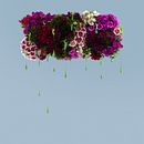 Dripping 2. Arts, Crafts, and Photograph project by Paula Posadas Alvarez - 03.25.2019