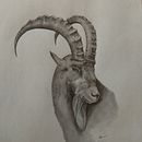 Mi Proyecto del curso: Cómo diseñar un tatuaje. Een project van  Beeldende kunst,  Tekening, Tekening met potlood, Realistische tekening y Traditionele illustratie van David Ato Guardiola - 01.04.2019