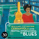 Cartel Festival de Blues. Artes plásticas, Br, ing e Identidade, Desenho artístico, Desenho de retrato, Design de cartaz, Eventos e Ilustração tradicional projeto de Olga Molina - 05.04.2019