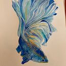 pesce combattente. Un proyecto de Ilustración tradicional de Patrizia Bacuzzi - 06.04.2019
