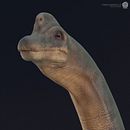 Brachiosaurus. 3D, Film, Film, Video, TV, Character Design, 3D Character Design, and 3D Modeling project by Andres Salvatierra - 12.21.2018