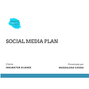 Mi Proyecto del curso: Estrategia de comunicación para redes sociales. Desenvolvimento Web, Marketing para Facebook, Instagram, e Redes sociais projeto de Magdalena Choda - 21.11.2019