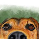 Curioso. Un progetto di Disegno, Disegno realistico, Illustrazione tradizionale e Illustrazione digitale di Cristina Bodeanu - 25.04.2019