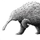 Especies en peligro de extinción II- Tinta. Fine Arts, Character Design, and Traditional illustration project by Roger Font - 02.28.2019