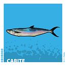 Carite. Projekt z dziedziny Trad, c, jna ilustracja, Ilustracja c, frowa i Grafika wektorowa użytkownika fiesky - 06.05.2019