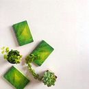 Mi Proyecto del curso: Fotografía profesional para Instagram . Fotografie mobilă de ladybiniza - 05.09.2019