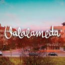 Valalameda. Un proyecto de Br, ing e Identidad, Desarrollo Web, Diseño gráfico, Diseño Web y Lettering de Daniel Peña Antón - 07.05.2019