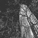 Proyectos  Ein Projekt aus dem Bereich Porträtzeichnung und Aquarellmalerei von la_liaz - 14.05.2019