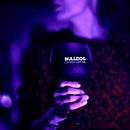 Fiesta Bulldog GIN para Sra Rushmore. Fotografia projeto de Juan Puyo - 17.05.2019