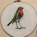 Mi Proyecto del curso: Pintar con hilo: técnicas de ilustración textil. Un proyecto de Bordado de Maricruz Valverde Vásquez - 17.01.2020