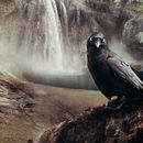VALHALLA - by Mireya Rubio. Un proyecto de Concept Art, Fotografía e Ilustración digital de Mireya Rubio - 22.05.2019