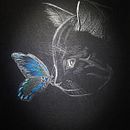 El gato y la mariposa azul. Un proyecto de Ilustración tradicional de Laura Comellas Martos - 31.07.2017