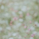 Un hechizo bordado. Un projet de Broderie , et Créativité de Marina Novello - 07.06.2019