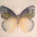 Paula Fuenzalida Ibarra Ilustración. Traditional illustration, and Watercolor Painting project by Paula Fuenzalida Ibarra - 06.10.2019