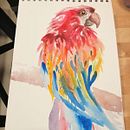 Guacamaya. Un proyecto de Música de Ana Valentina Ferrero Romero - 11.06.2019