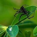 Mi Proyecto del curso: Retoque fotográfico de moda y belleza con Photoshop. Un proyecto de Fotografía digital de Hugo Escobar Carreño - 14.06.2019