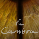 Mi Proyecto del curso: El cómic es otra historia. Een project van Stripboek,  Beeldende kunst,  Tekening, Verhaallijn, Stor y board van franjaviquesada - 15.06.2019