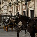 Fotografía Calle // Sevilla-Ronda (Málaga) 2018. Projekt z dziedziny Fotografia, Fotografia c i frowa użytkownika Lucía L.Huertas - 12.08.2018