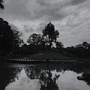 Mi Proyecto del curso: Fotografía y composición para Instagram . Fotografi Seluler proyek oleh Lucas Pandolfi - 06.17.2019