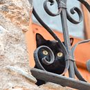 H O M E. Fotografia, Fotografia artística, Fotografia digital, e Paisagismo projeto de alba paleo - 15.06.2019