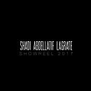SHOWREEL 2017 Ein Projekt aus dem Bereich Kino, Kino, Video und TV, Kreative Beratung, Kreativität, Marketing und Digitales Marketing von Shadi Lagrate - 20.12.2017