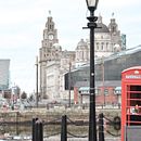 LVP. Fotografia, Fotografia artística, e Fotografia digital projeto de alba paleo - 01.11.2017