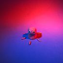 Mi proyecto final en Animación Stop-Motion Con Plastilina. Projekt z dziedziny  Animacja użytkownika Bruno Caruso - 20.06.2019