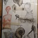 Ilustración Ein Projekt aus dem Bereich Traditionelle Illustration von Mariana Barreto - 22.06.2019