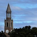 hipster lion hd. Design projeto de Shafiq Rehman - 22.06.2019