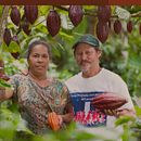 Proyecto de diversificacion con cacao - Identidad de marca . % Dainin Solis tarafından hazırlanan Markalaşma ve Kimlik, Ve Grafik Tasarım projesi - 08.09.2018
