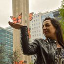 Mariposas Chilensis. Intervención urbana.. Un projet de 3D , et Art urbain de Valeria Merino - 28.09.2017