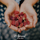El Brocal - Rebranding + Comunicación. Un proyecto de Dirección de arte de Giselle Quagliano - 04.07.2019