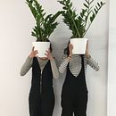 Imitación libre y amateur de Magritte a deux (espejo). Creativit project by Marta del Vigo - 02.08.2018