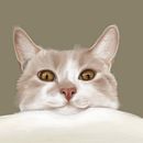 Serie "Diario Visual felino". Digital Illustration project by Solo Eva - 07.10.2019