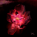 Rosa - primer proyecto hecho después de realizar el curso de Procreate con @jaime_sanjuan_ocabo. Un projet de Dessin , et Dessin réaliste de Nines López Ballester - 18.07.2019
