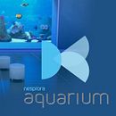 AQUARIUM Nesplora. Un proyecto de 3D, Programación y Diseño de juegos de Álvaro Arranz - 19.07.2017