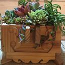 Mi Proyecto del curso: Diseño y creación de composiciones botánicas . % geyddy_17 tarafından hazırlanan Tasarım projesi - 08.01.2019